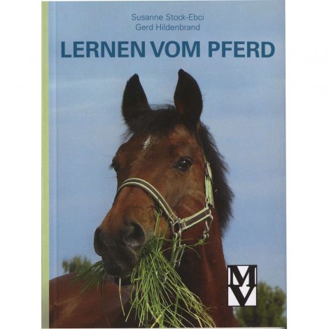 Lernen vom Pferd - Durch üben mit dem Pferd